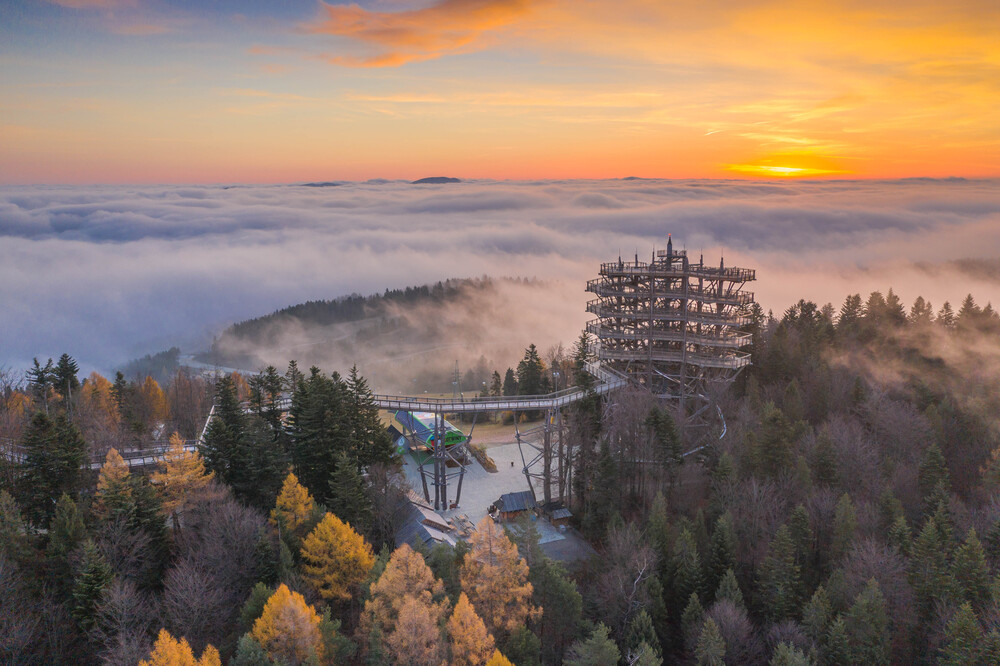 Hotel Czarny Potok Resort SPA & Conference w Krynicy-Zdroju